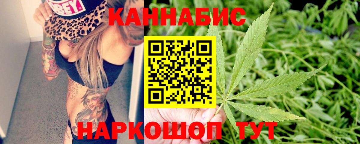 Владимир  Марихуана планчик  Шишки марихуана сатива  Марихуана White Widow  Вход с VPN 